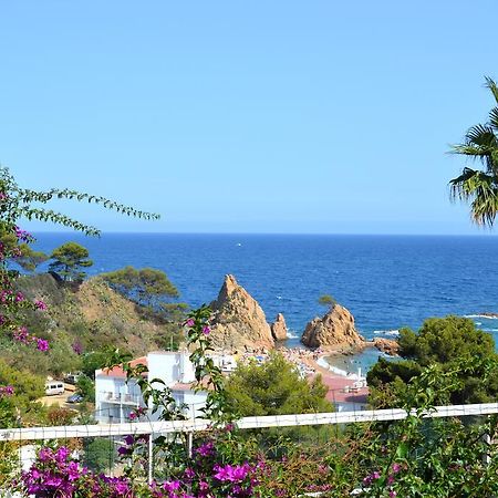 Villa Blanca Paloma - Holiday House Tossa de Mar Zimmer foto